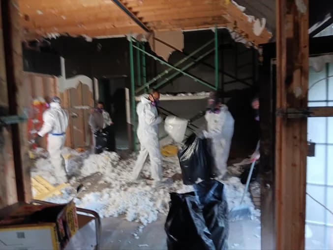 Mold? Here's What Not To Do